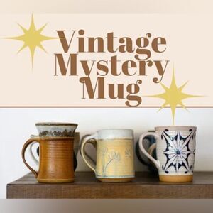 ASSORTED Fun Decorative Mugs Mystery Box